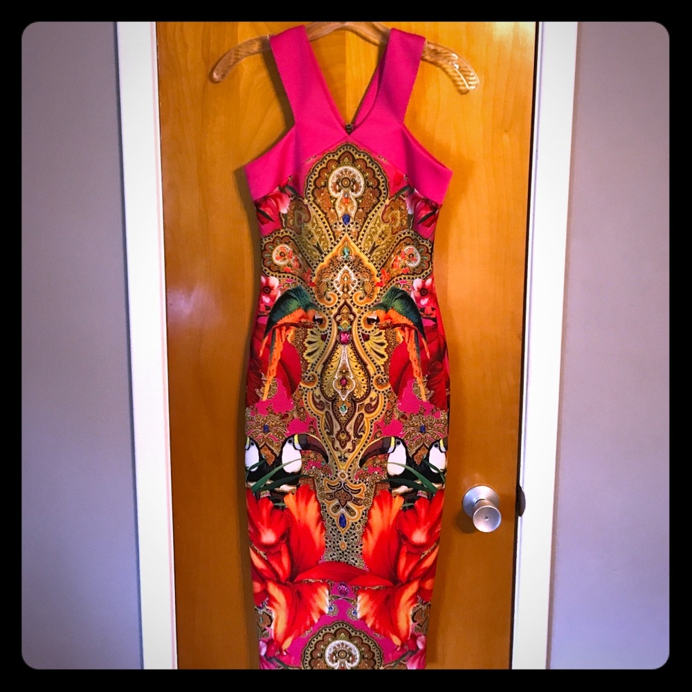 Ted Baker of London Valeena Dress