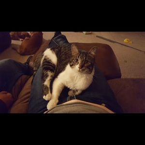 Meet your Posher, Ashley