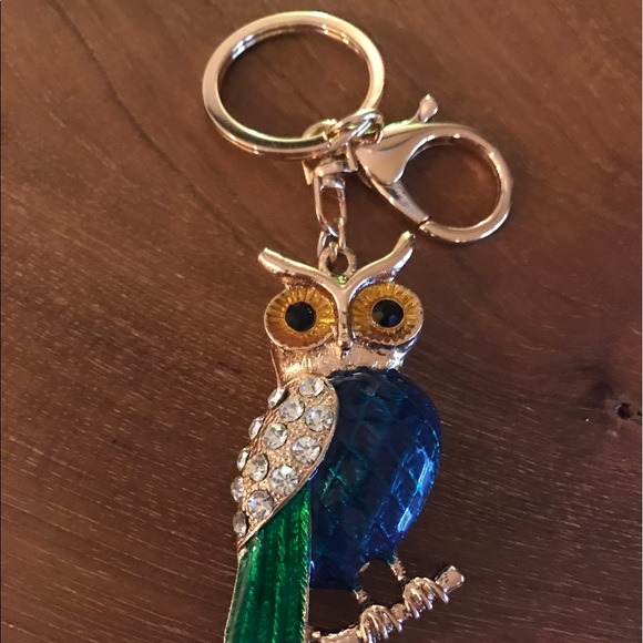 Wise Owl Key Chain - Picture 2 of 2