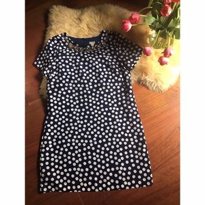 J. Crew Polka Dot Dress