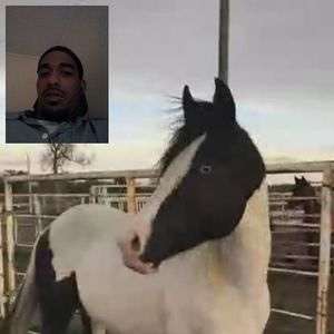 Meet your Posher, Marcus