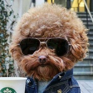 Meet your Posher, Braulio