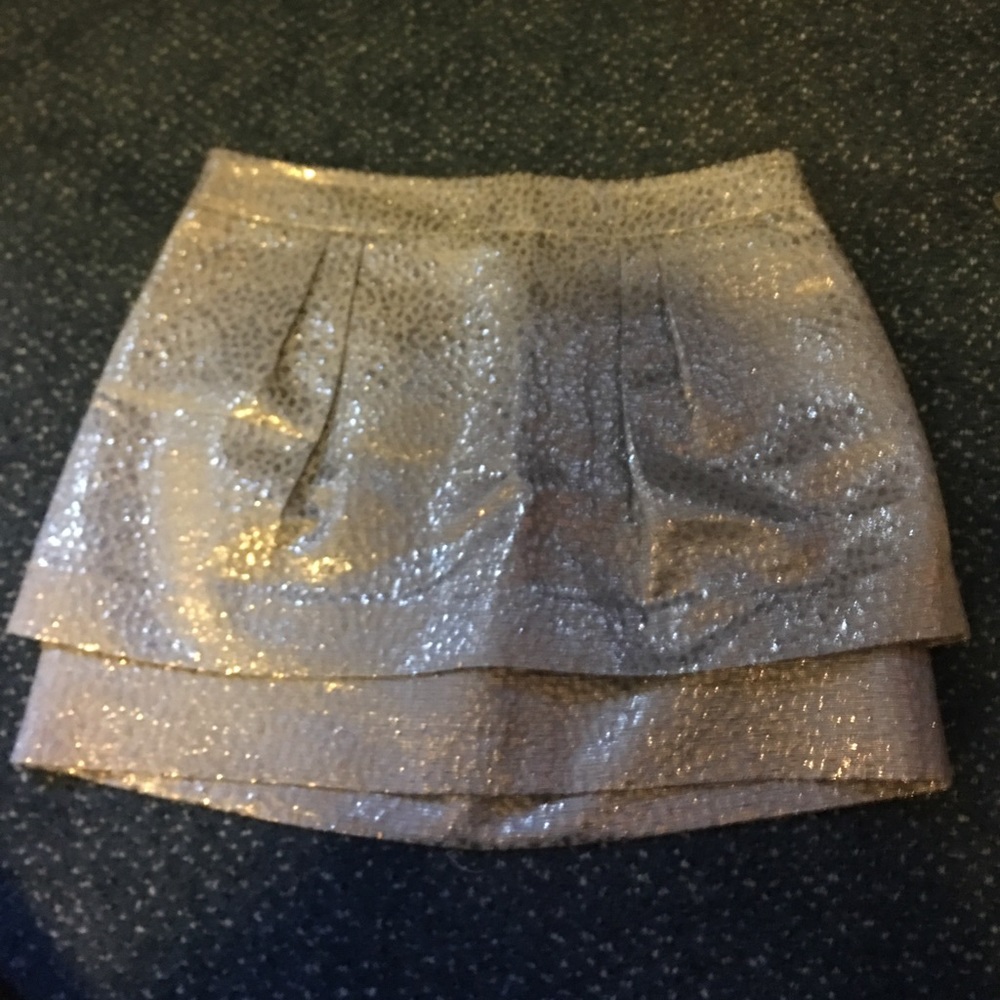 Grey & silver zebra print skirt from express!!