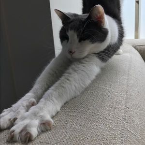 Meet your Posher, April