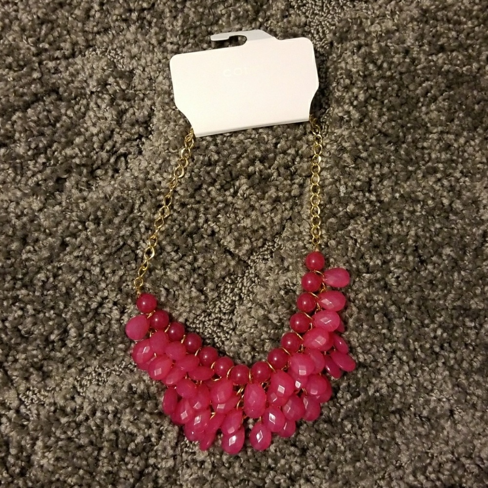 NWT Gorgeous pink statement necklace