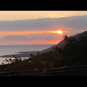 Meet your Posher, Cathy