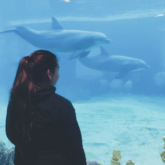 Meet your Posher, Diana - Picture 1 of 1