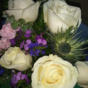 Meet your Posher, Donna