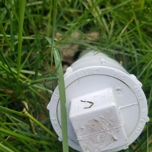 Meet your Posher, Thania