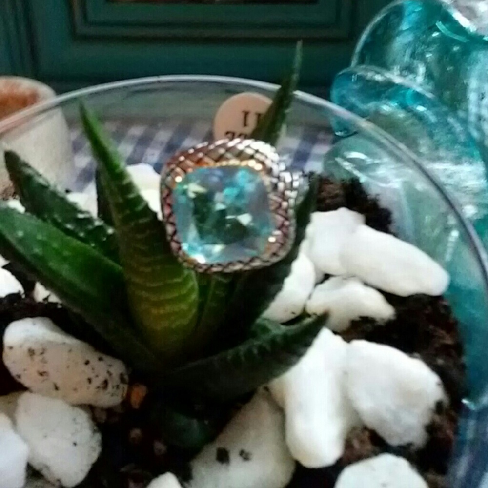 Aquamarine Fashion Ring Size 11 NWT