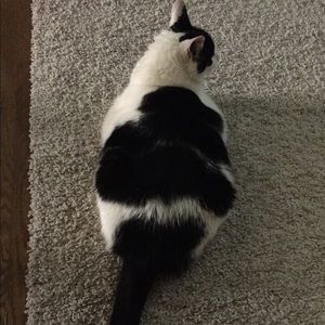 Meet your Posher, Yvette