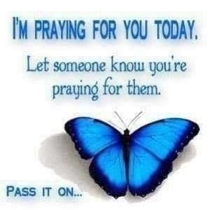 Meet your Posher, Renee