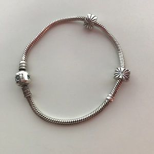 Pandora Bracelet