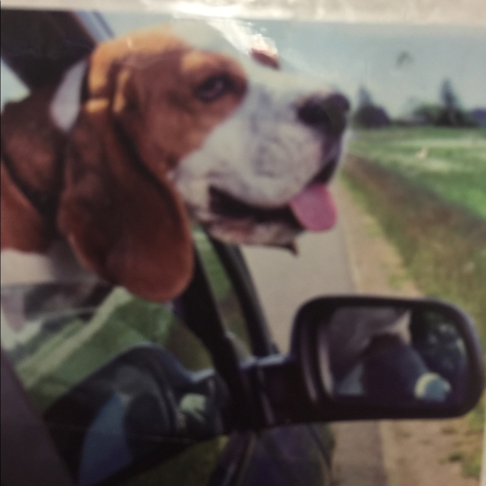 Meet your Posher, Laura