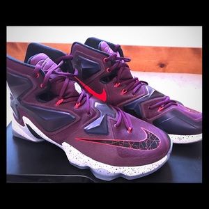 Lebron 11s