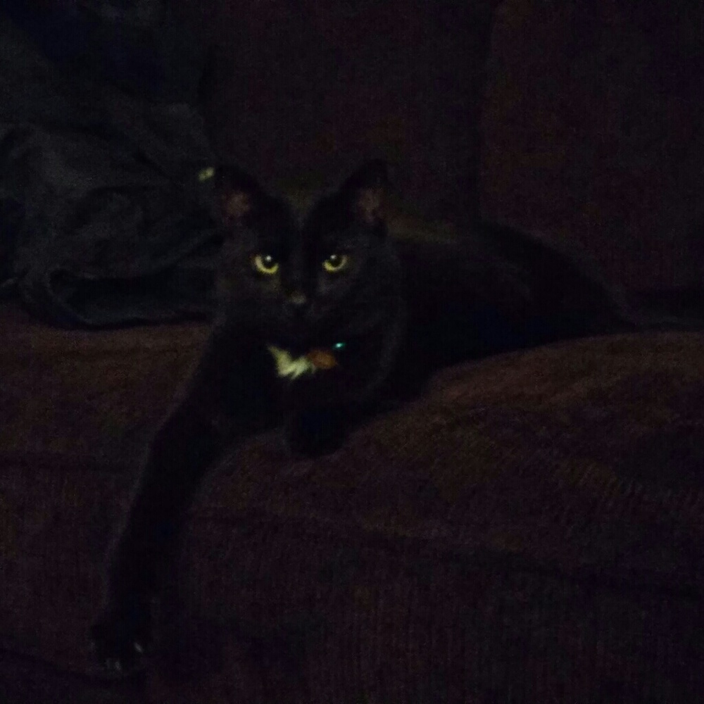 Meet your Posher, Riki