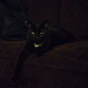 Meet your Posher, Riki