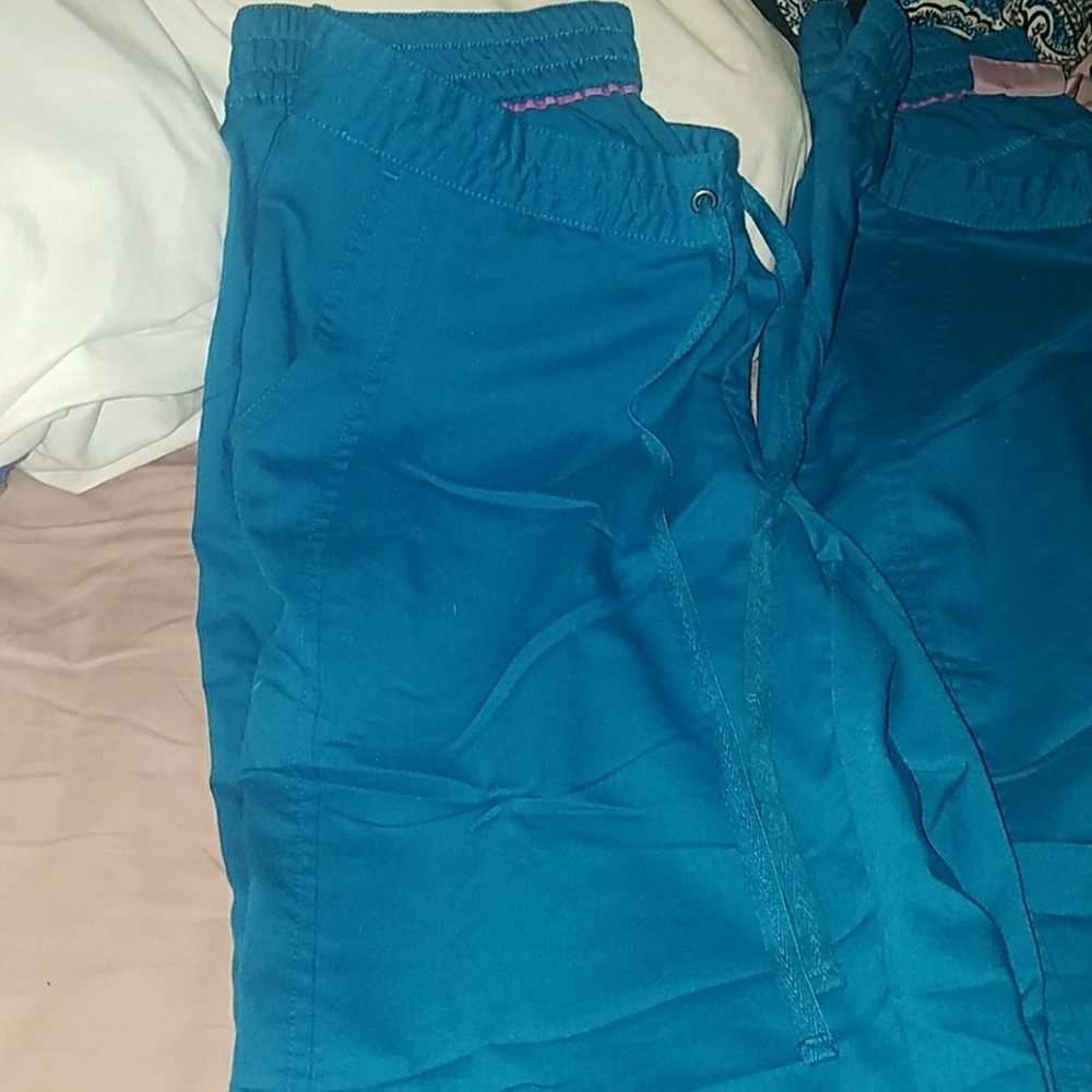 Healing hands purple label Taylor scrub pants