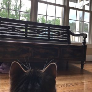 Meet your Posher, Kennadi