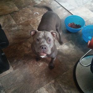 Meet your Posher, Tyrone