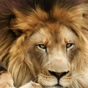 Meet your Posher, Maurice