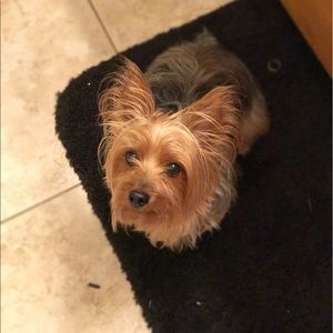 Meet your Posher, Divine