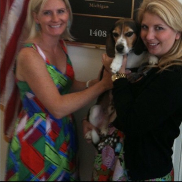 Stunning Anthropologie Leifsdottir Dress - Picture 4 of 8