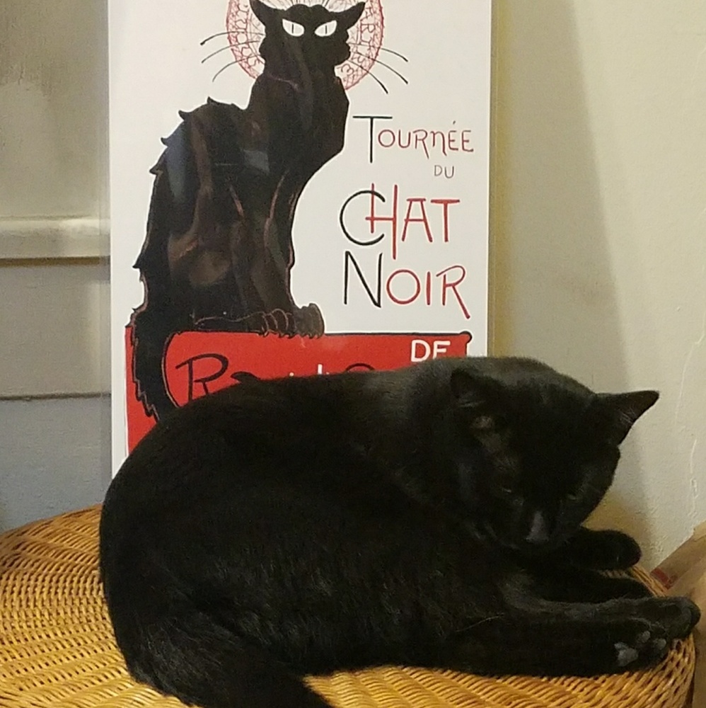 Meet your Posher, Kristina