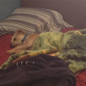 Meet your Posher, Steven