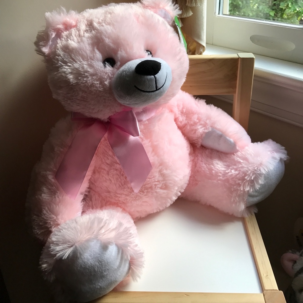 Soft Pink Teddy Bear - GIFT Measures 20" - NWT