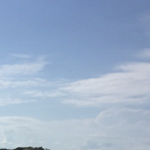 Meet your Posher, Camryn