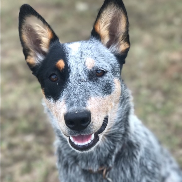 NOT FOR SALE! - Picture 1 of 1