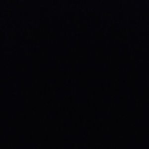 Meet your Posher, Wayne