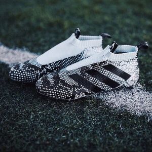 Meet your Posher, Benjamin