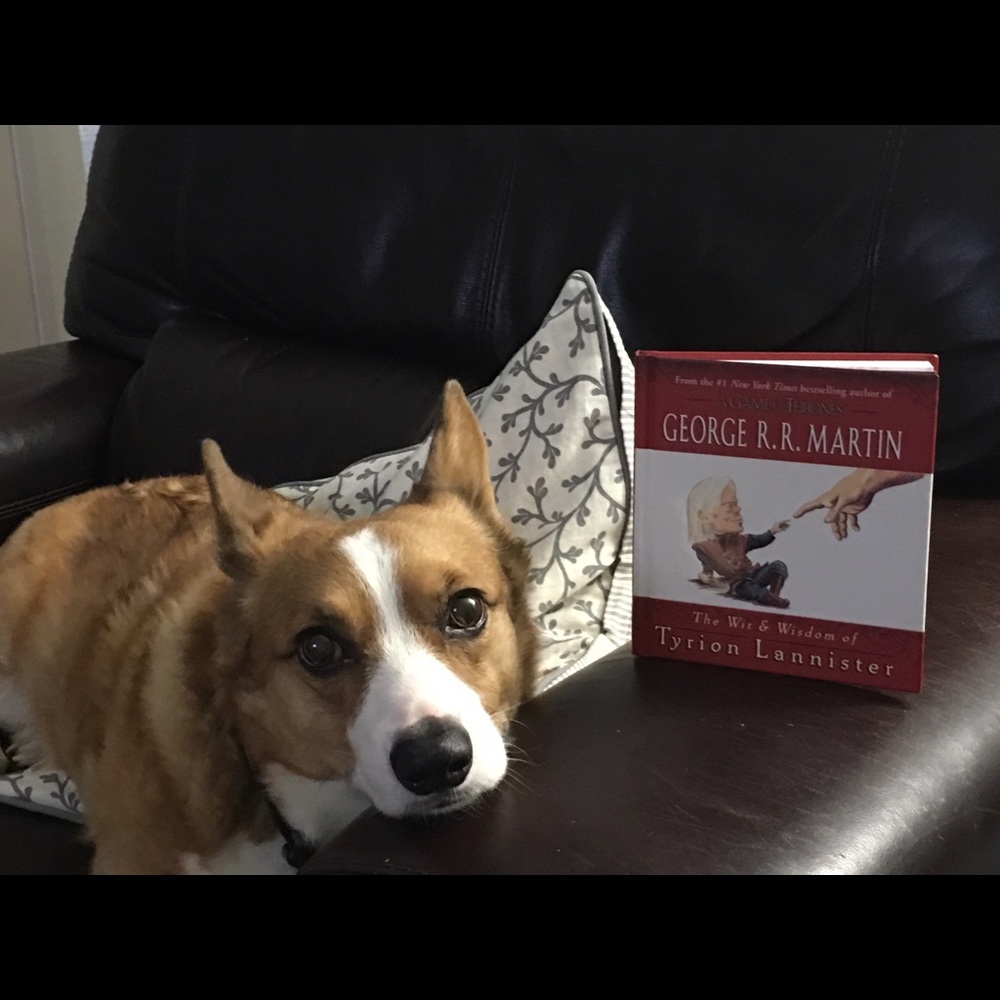 Meet your Posher, Ivonne