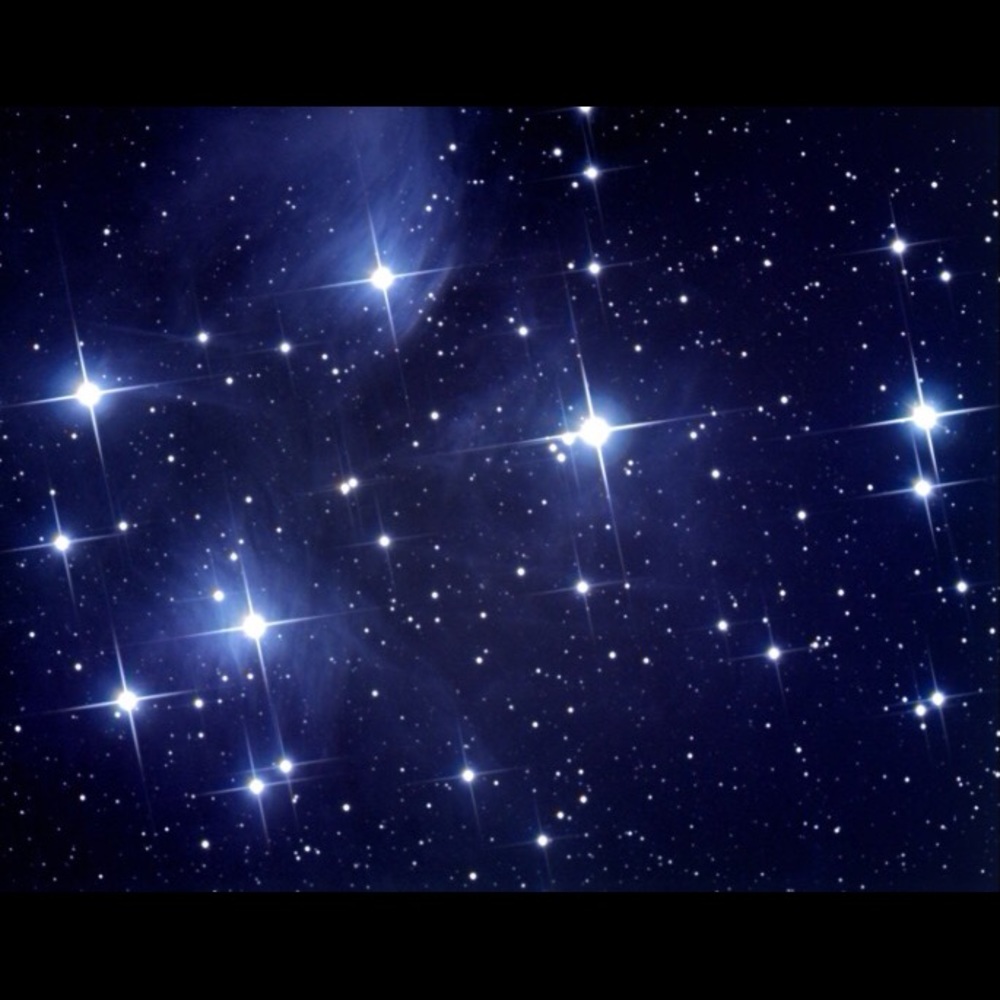 Meet your Posher, Migdalia