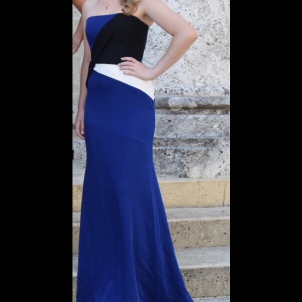 Beautiful BCBG Evening gown