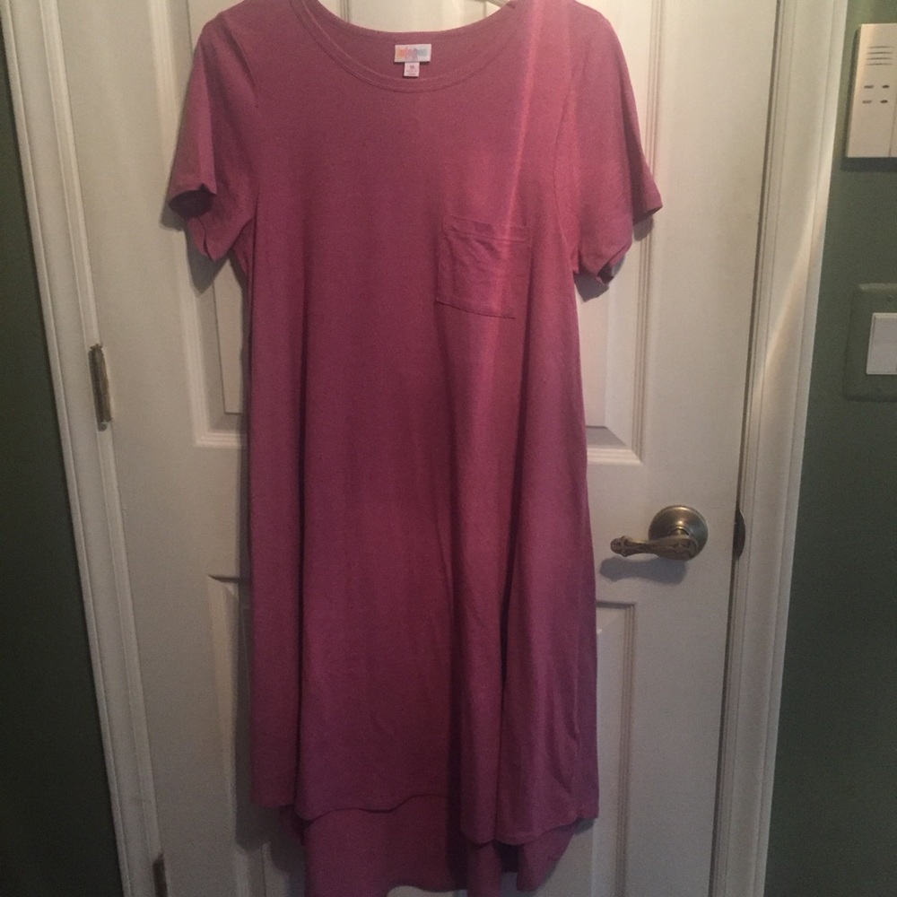 BNWOT Medium Lularoe Carly