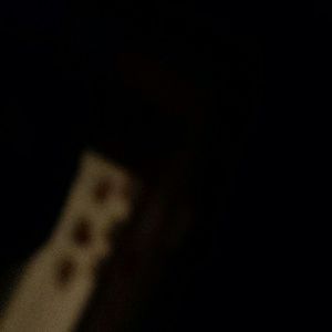 Meet your Posher, Melly