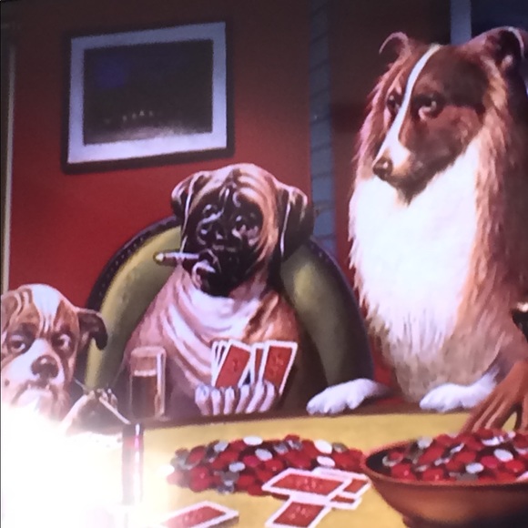 Meet your Posher, David - Picture 1 of 1