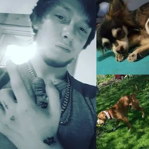 Meet your Posher, Justin