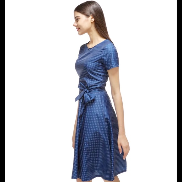 Blue and white polka dot dress in a line form - Picture 5 of 5