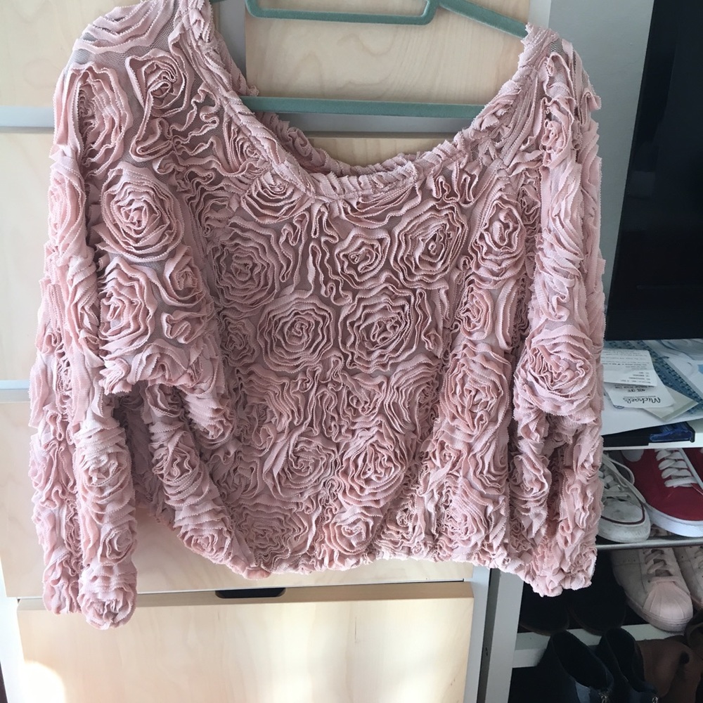 American Apparel rose sweater