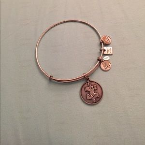 Alex and Ani Piece of the Puzzle Bracelet