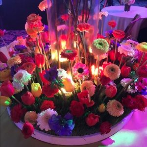 Meet your Posher, Marybeth