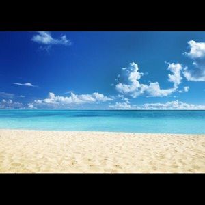 Meet your Posher, Onelia