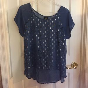 Nordstrom's Rack Sheer blue Tunic with silver