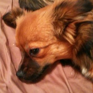 Meet your Posher, Wendy