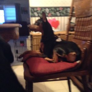 Meet your Posher, Jonathan