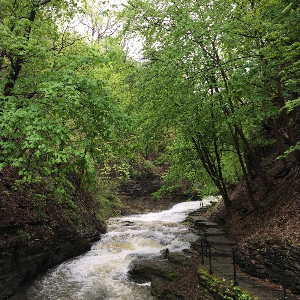 Meet your Posher, Lily